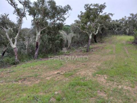 Monte alentejano com 5,6 hc,são francisco serra, santiago do cacém.