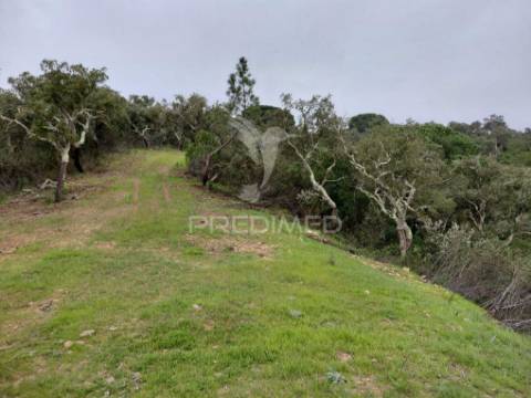 Monte alentejano com 5,6 hc,são francisco serra, santiago do cacém.