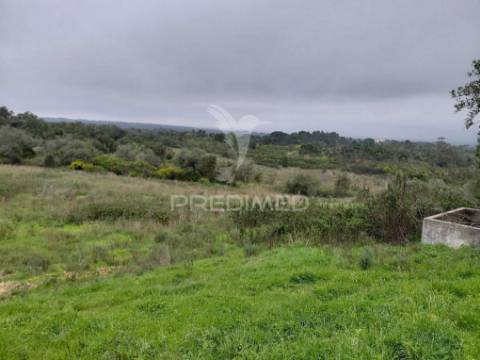 Monte alentejano com 5,6 hc,são francisco serra, santiago do cacém.
