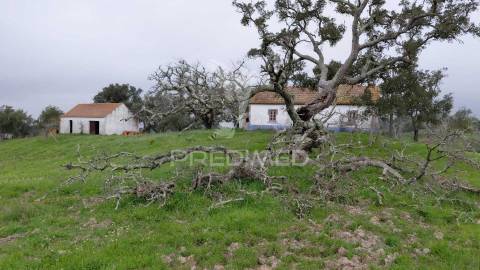 Monte alentejano com 5,6 hc,são francisco serra, santiago do cacém.