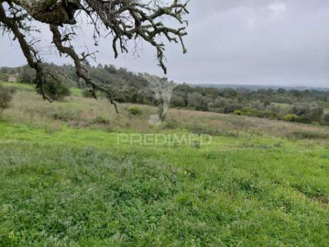 Monte alentejano com 5,6 hc,são francisco serra, santiago do cacém.