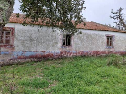 Monte alentejano com 5,6 hc,são francisco serra, santiago do cacém.