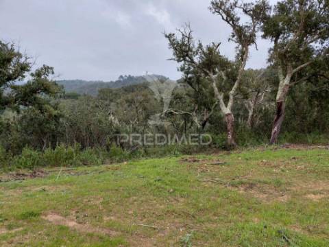 Monte alentejano com 5,6 hc,são francisco serra, santiago do cacém.