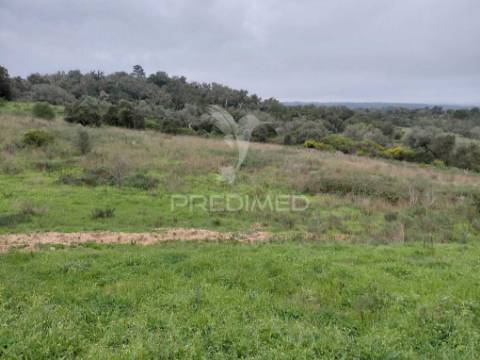 Monte alentejano com 5,6 hc,são francisco serra, santiago do cacém.