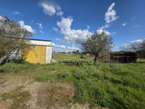 Moradia com terreno de 2,2 hectares + 1 ruina