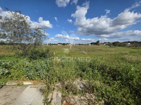 Moradia com terreno de 2,2 hectares + 1 ruina