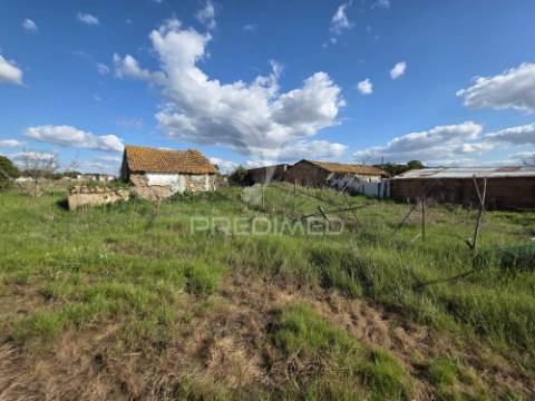 Moradia com terreno de 2,2 hectares + 1 ruina