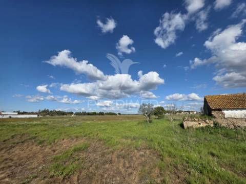 Moradia com terreno de 2,2 hectares + 1 ruina