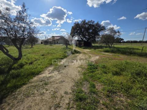 Moradia com terreno de 2,2 hectares + 1 ruina