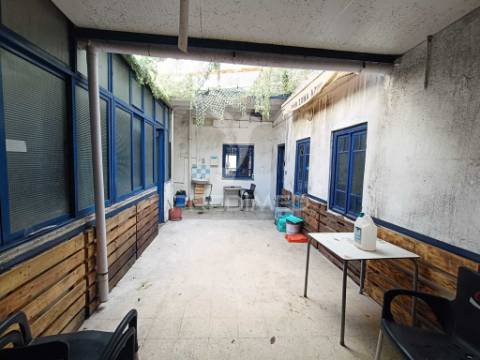 Prédio urbano - beja