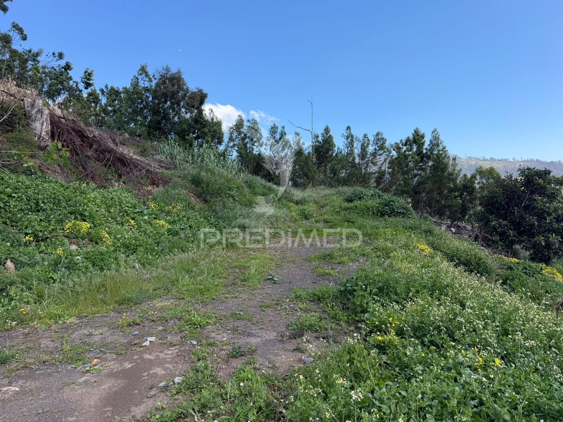 Terreno urbanizável em são joão ribeira brava