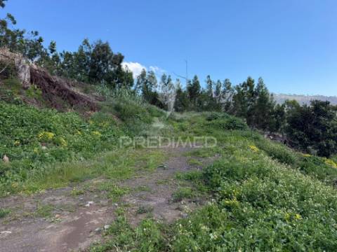 Terreno urbanizável em são joão ribeira brava