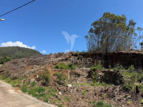 Terreno urbanizável em são joão ribeira brava