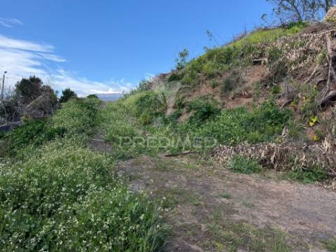 Terreno urbanizável em são joão ribeira brava