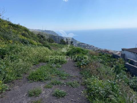 Terreno urbanizável em são joão ribeira brava
