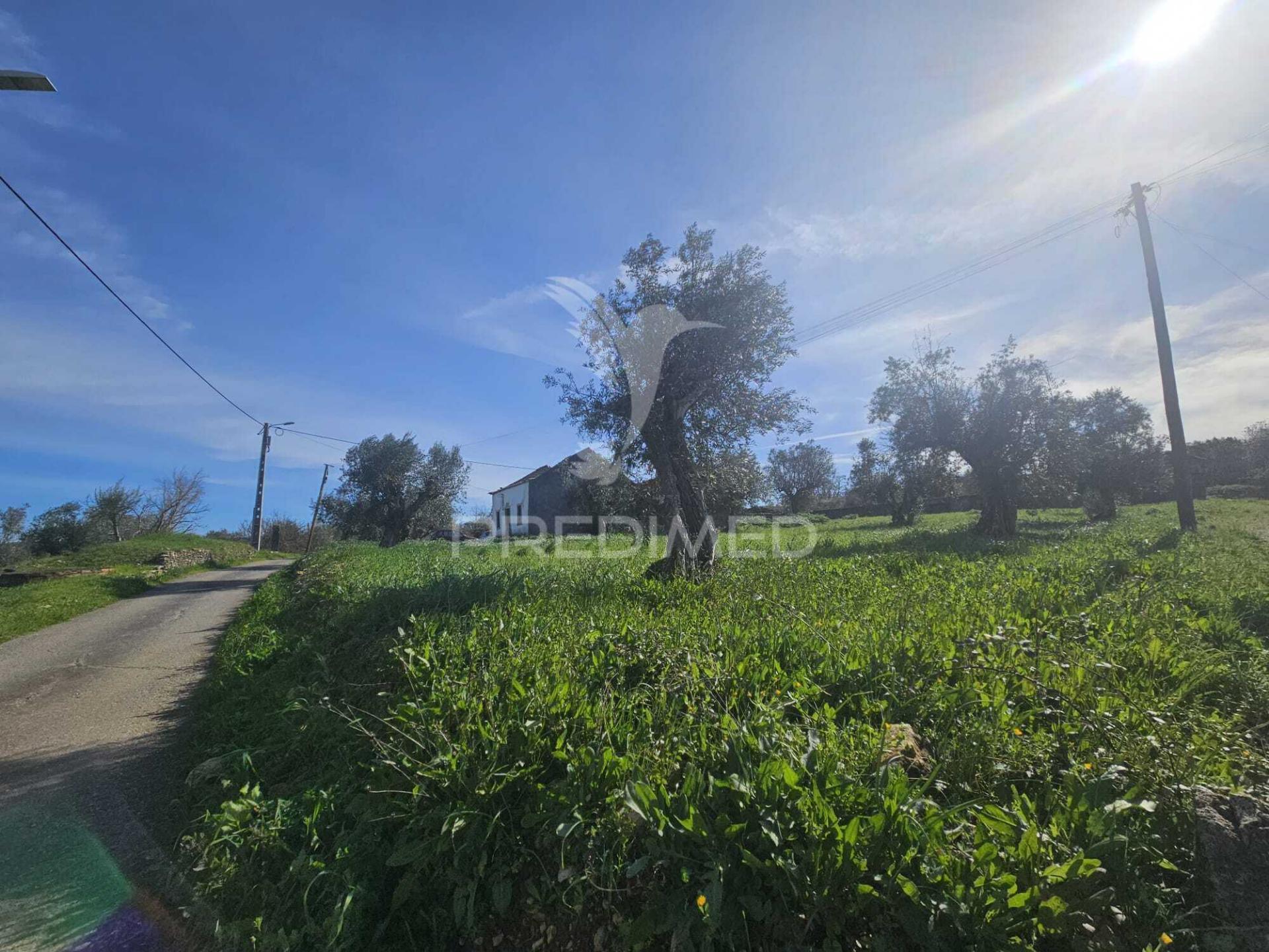 Moradia para restaurar