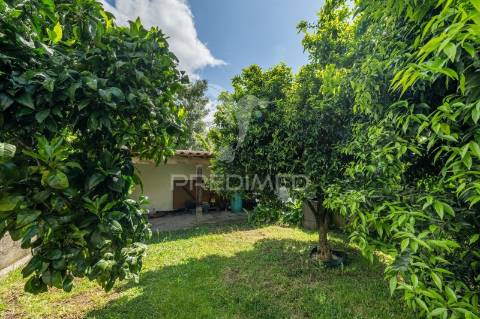 Moradia t3 - carrazedo, amares