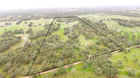 Monte alentejano com 12 hectares junto á barragem de fonte de cerne