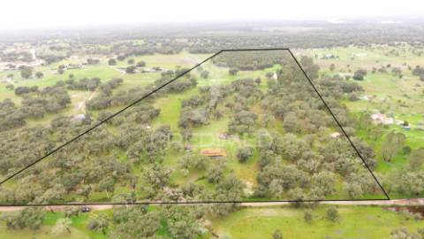 Monte alentejano com 12 hectares junto á barragem de fonte de cerne