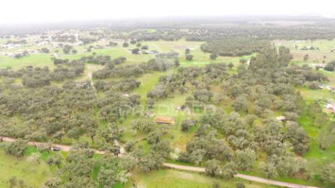 Monte alentejano com 12 hectares junto á barragem de fonte de cerne