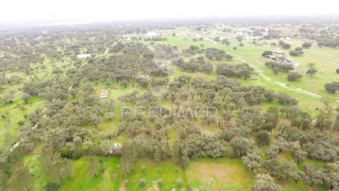 Monte alentejano com 12 hectares junto á barragem de fonte de cerne