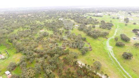 Monte alentejano com 12 hectares junto á barragem de fonte de cerne