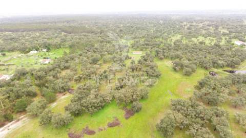 Monte alentejano com 12 hectares junto á barragem de fonte de cerne