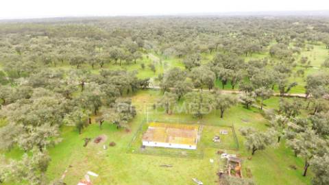 Monte alentejano com 12 hectares junto á barragem de fonte de cerne