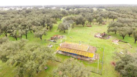 Monte alentejano com 12 hectares junto á barragem de fonte de cerne