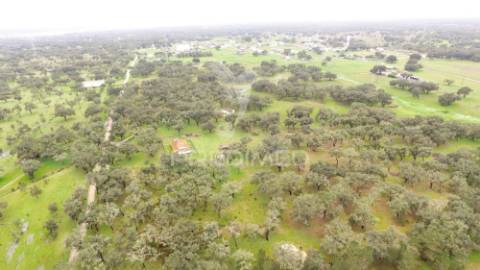Monte alentejano com 12 hectares junto á barragem de fonte de cerne
