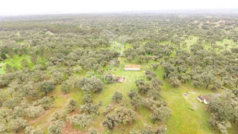 Monte alentejano com 12 hectares junto á barragem de fonte de cerne