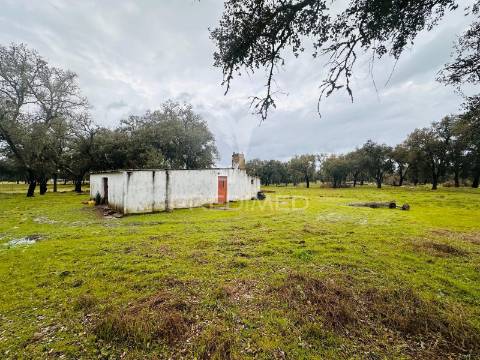 Monte alentejano com 12 hectares junto á barragem de fonte de cerne