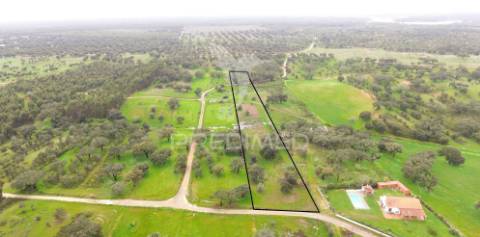 Terreno rustico com 18000m2