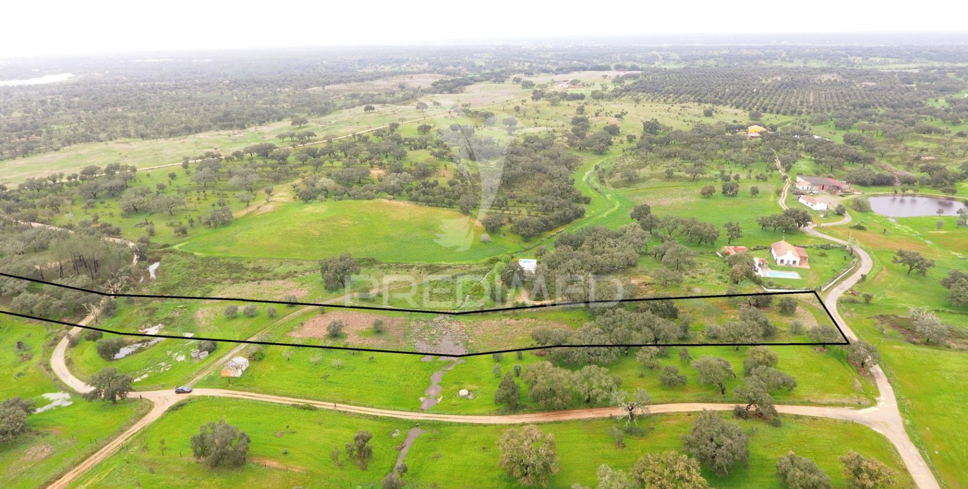 Terreno rustico com 18000m2