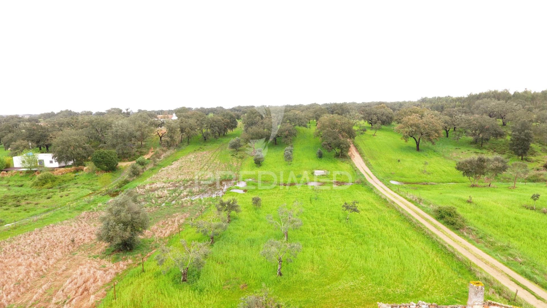 Terreno rustico com 18000m2