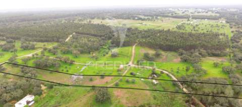 Terreno rustico com 18000m2