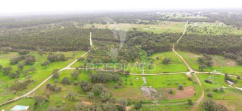 Terreno rustico com 18000m2