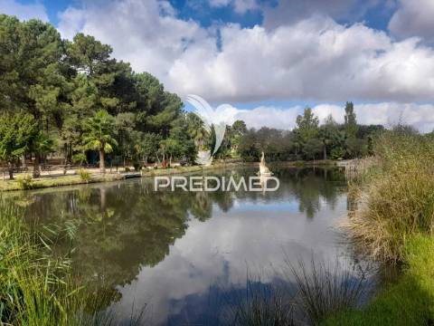 Mobil home t2 em camping pinhal novo.