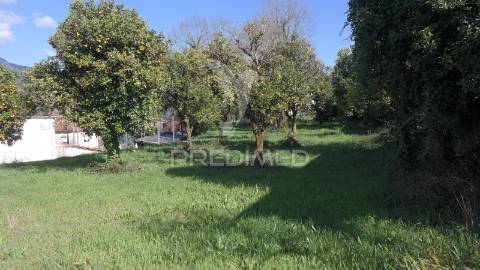 Terreno com 2.135 m² em rio caldo – gerês | oportunidade de investimento