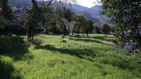 Terreno com 2.135 m² em rio caldo – gerês | oportunidade de investimento