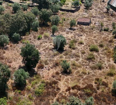 Terreno situado em porto de mós
