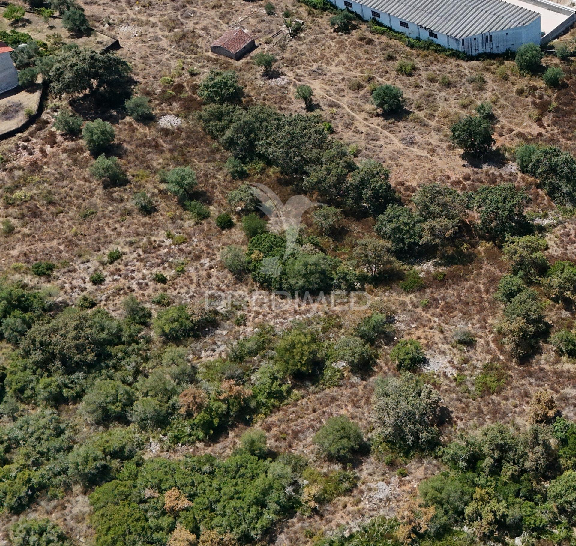Terreno situado em porto de mós
