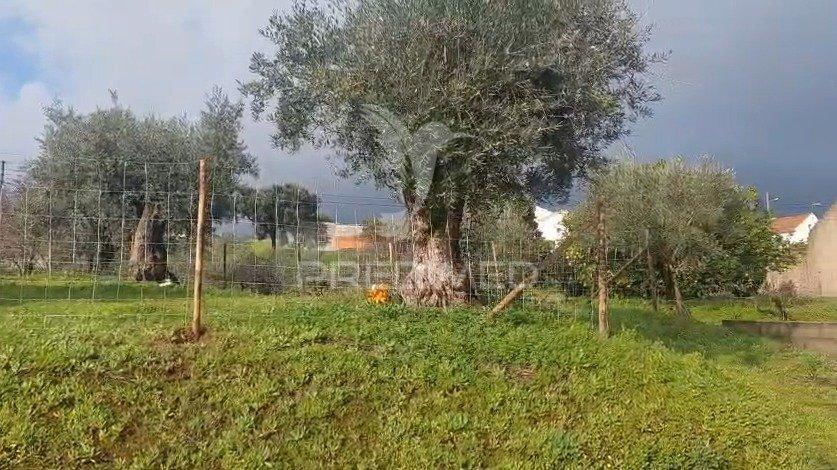 Terreno urbano com viabilidade de construção – lapinha, praia do ribatejo