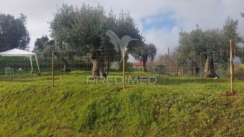 Terreno urbano com viabilidade de construção – lapinha, praia do ribatejo