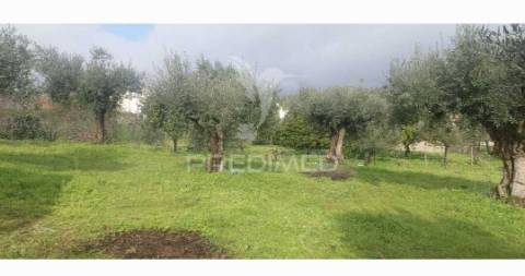 Terreno urbano com viabilidade de construção – lapinha, praia do ribatejo