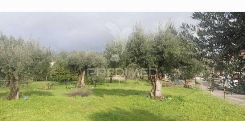 Terreno urbano com viabilidade de construção – lapinha, praia do ribatejo