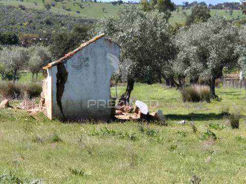 Herdade com elevado potencial de investimento em pavia,mora.