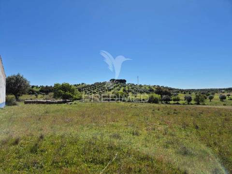 Herdade com elevado potencial de investimento em pavia,mora.