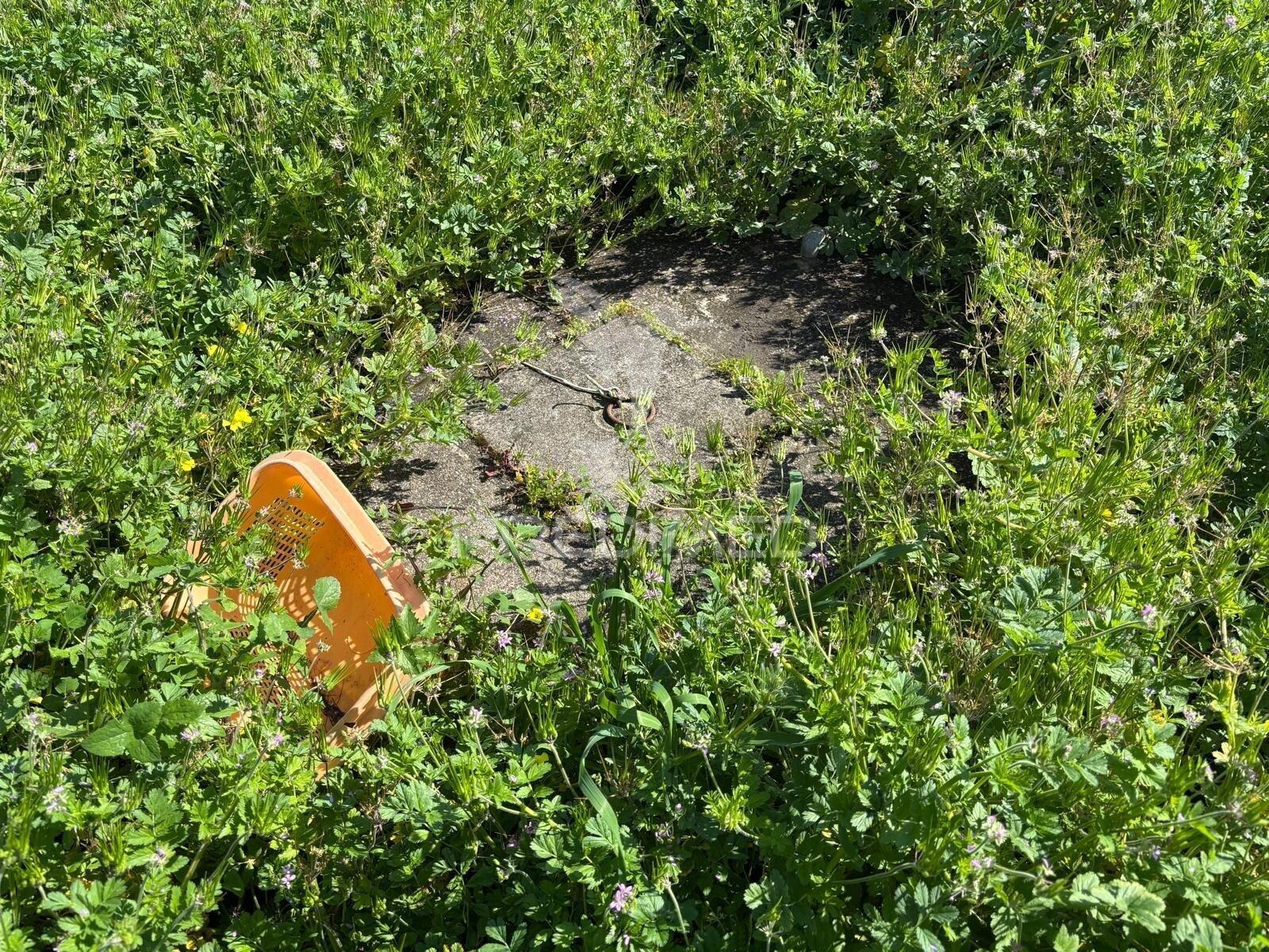 Terreno misto com possibilidade de construção