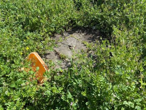 Terreno misto com possibilidade de construção